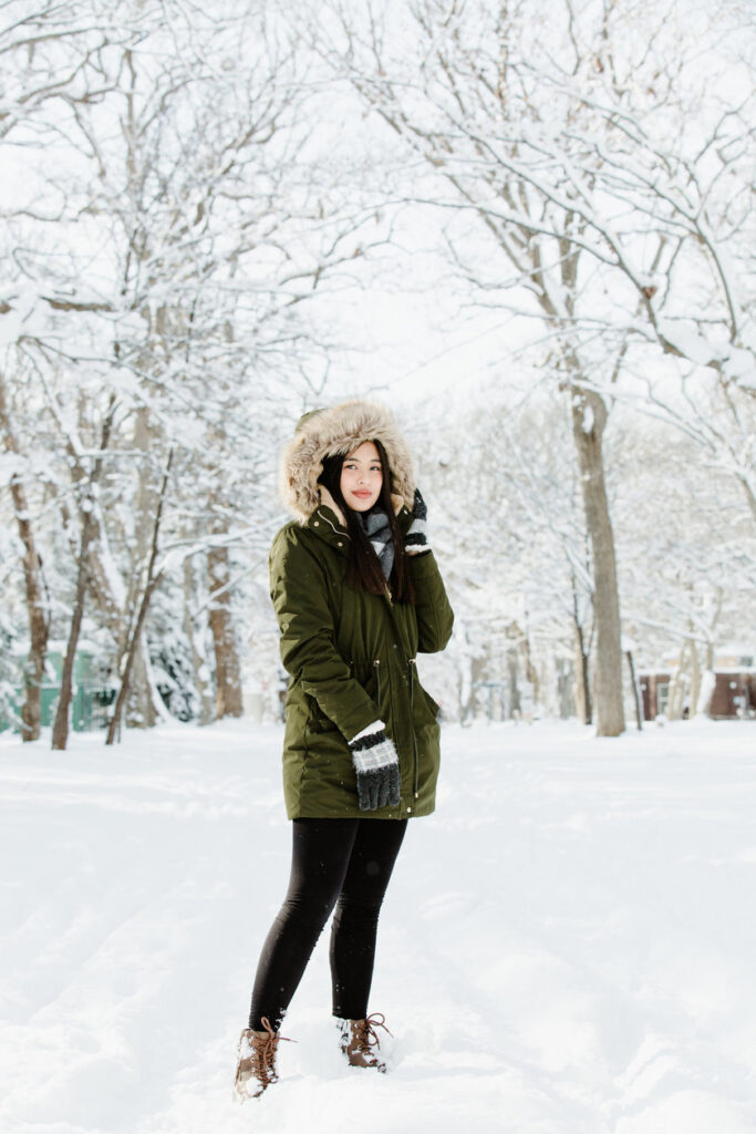Sapporo Snow Layers
